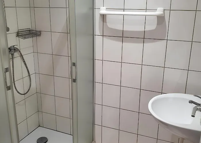 Double With Air Conditioning - Del Ponte Break בית הארחה Minusio